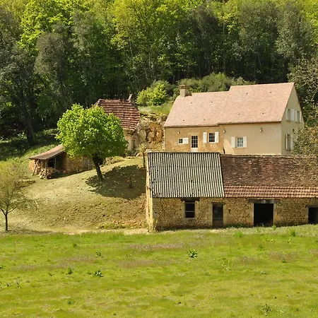 Gite Chez Le Gaulois Carsac-Aillac Buitenkant foto