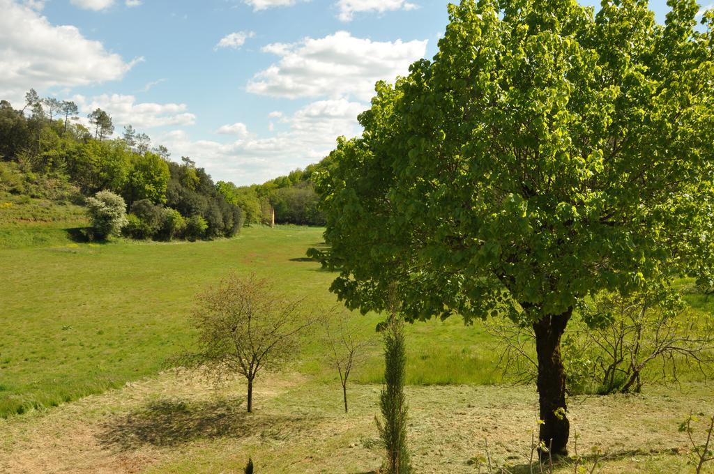 Chez Le Gaulois Carsac-Aillac