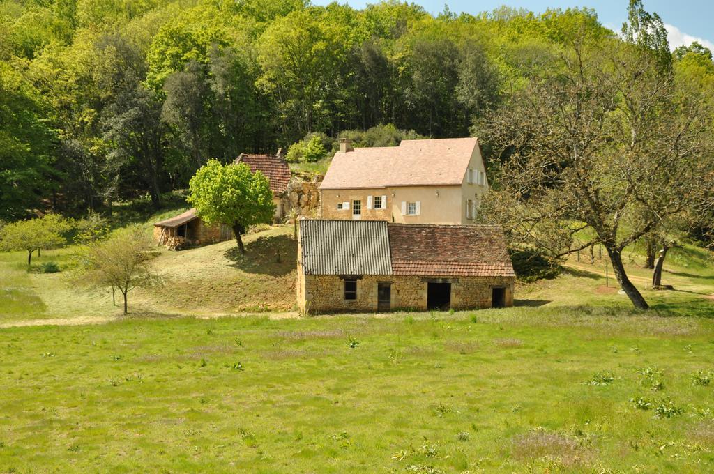 Chez Le Gaulois Holiday home Carsac-Aillac